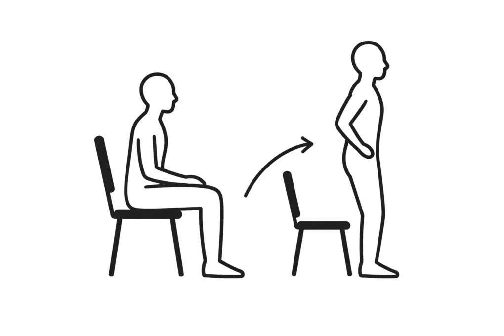 Simple line illustration showing a person doing chair squats. They're sitting on a chair then standing up with an arrow indicating movement. Demonstrates how to prevent back pain when sitting all day by encouraging regular breaks from sitting.
